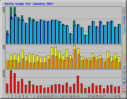 Daily usage for January 2017