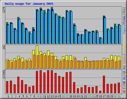 Daily usage for January 2021