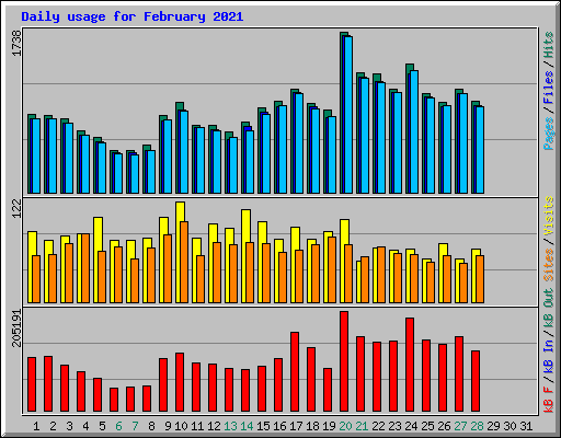 Daily usage for February 2021