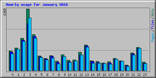 Hourly usage for January 2016