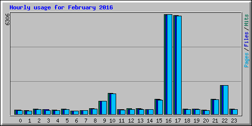 Hourly usage for February 2016