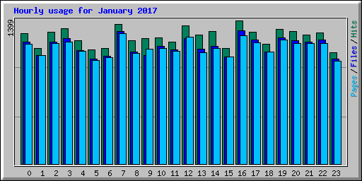 Hourly usage for January 2017