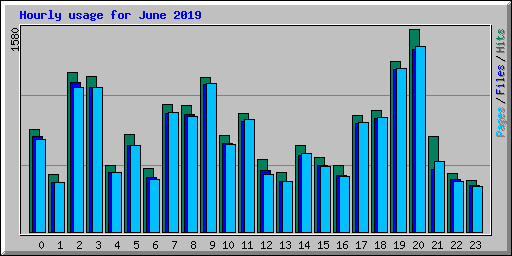Hourly usage for June 2019
