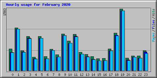 Hourly usage for February 2020