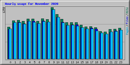 Hourly usage for November 2020