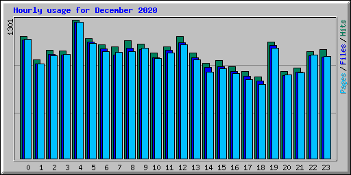 Hourly usage for December 2020