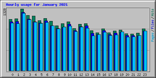 Hourly usage for January 2021