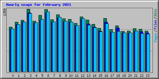 Hourly usage for February 2021