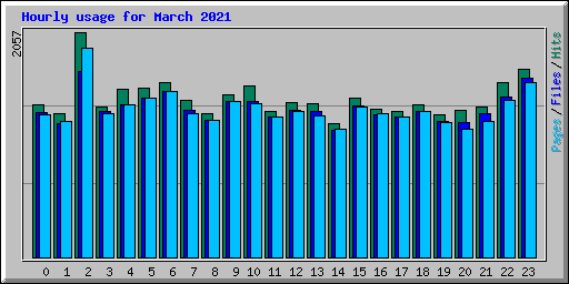 Hourly usage for March 2021