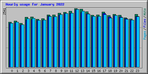 Hourly usage for January 2022