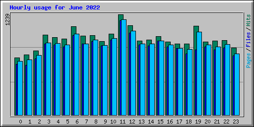 Hourly usage for June 2022
