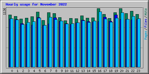 Hourly usage for November 2022
