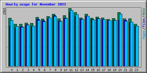 Hourly usage for November 2023