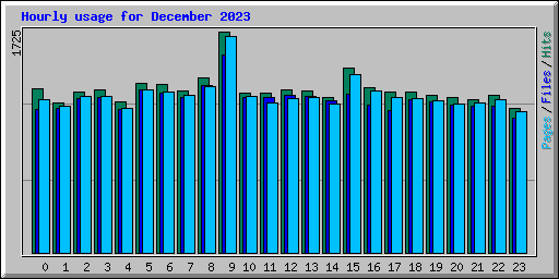 Hourly usage for December 2023