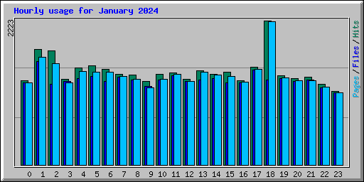 Hourly usage for January 2024
