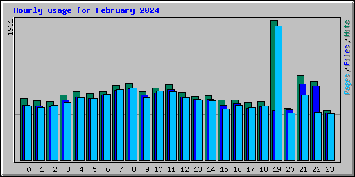 Hourly usage for February 2024