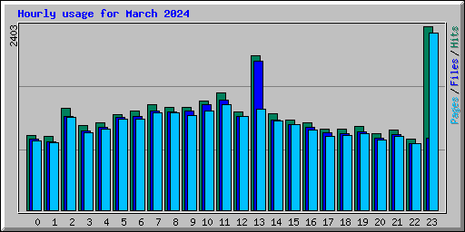 Hourly usage for March 2024