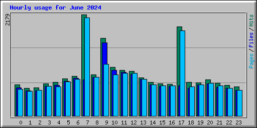 Hourly usage for June 2024