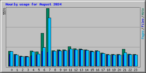 Hourly usage for August 2024