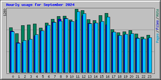 Hourly usage for September 2024